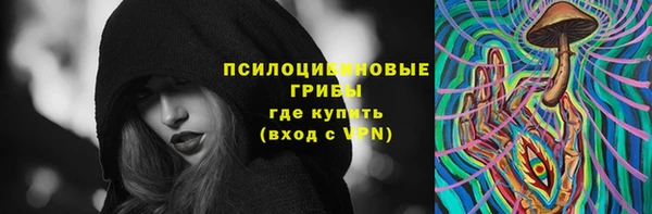 синтетический гашиш Богородск