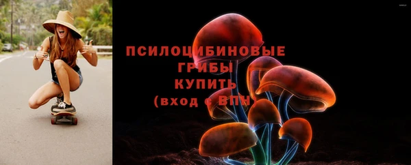 не бодяженный Богородицк
