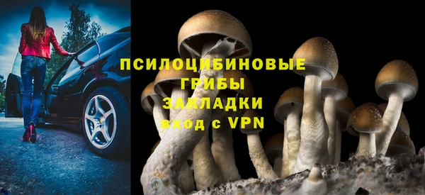 mix Богданович